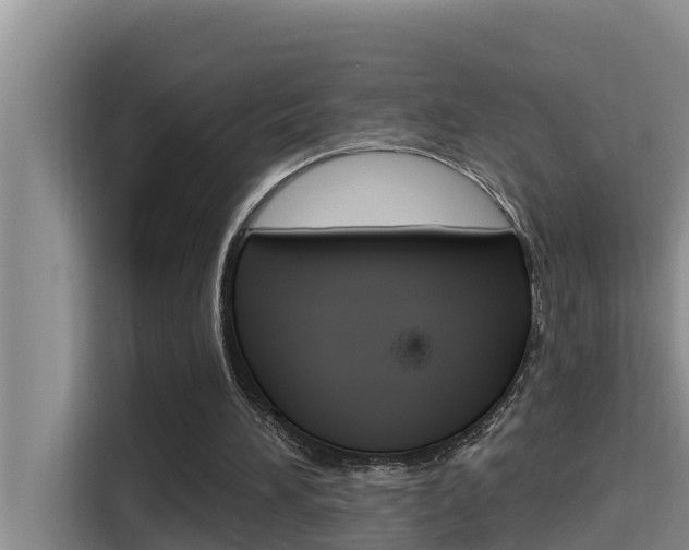 X0000115610196200911100938