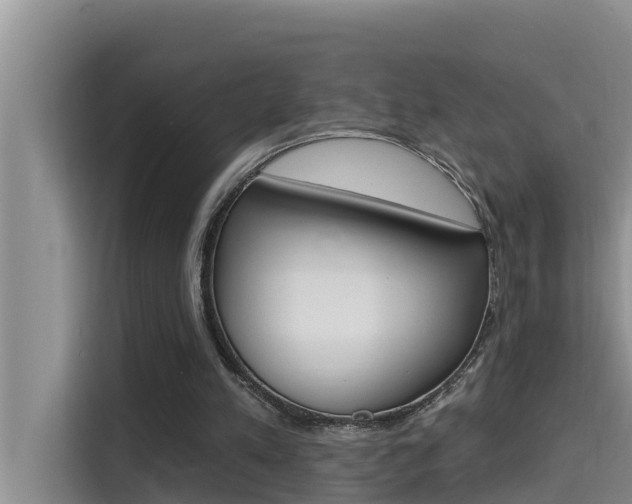 X0000115610197200911100938