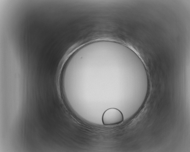X0000115610199200911100938