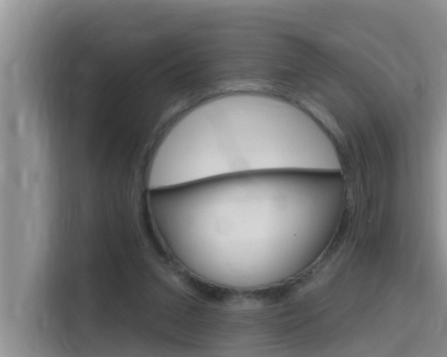 X0000115610207200911100938