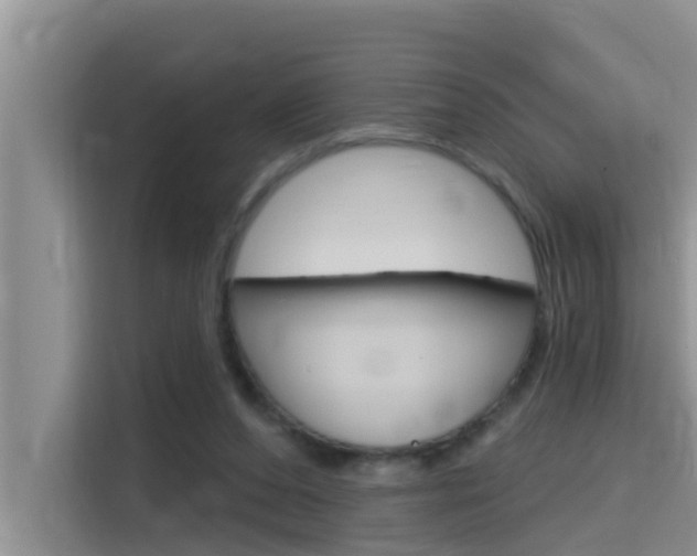 X0000115610208200911100938