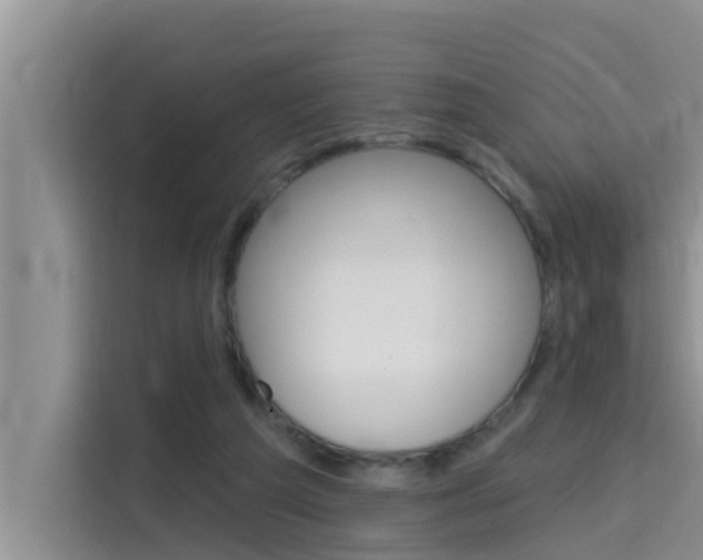 X0000115610209200911100938