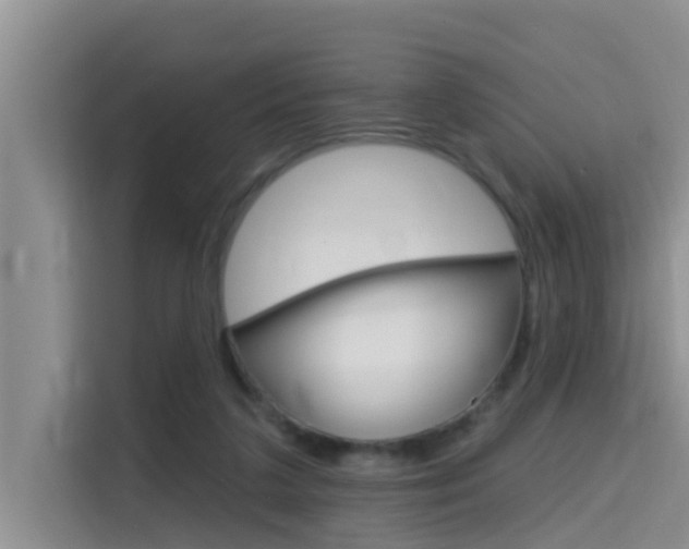 X0000115610211200911100938
