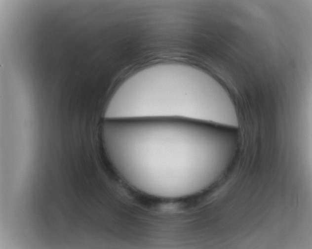 X0000115610216200911100938
