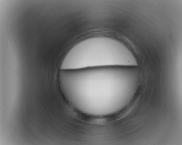 X0000115610217200911100938