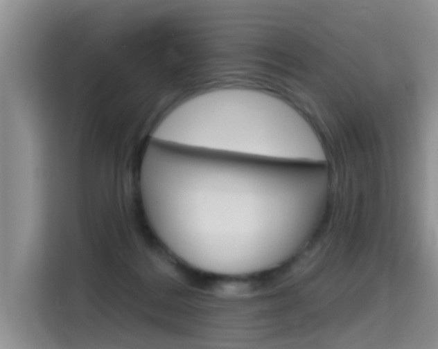 X0000115610220200911100938