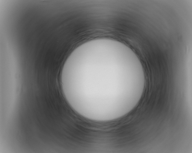 X0000115610221200911100938
