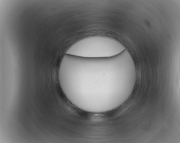 X0000115610222200911100938