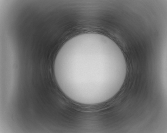 X0000115610225200911100938