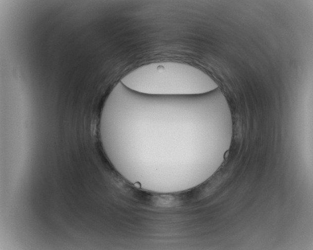 X0000115610230200911100938