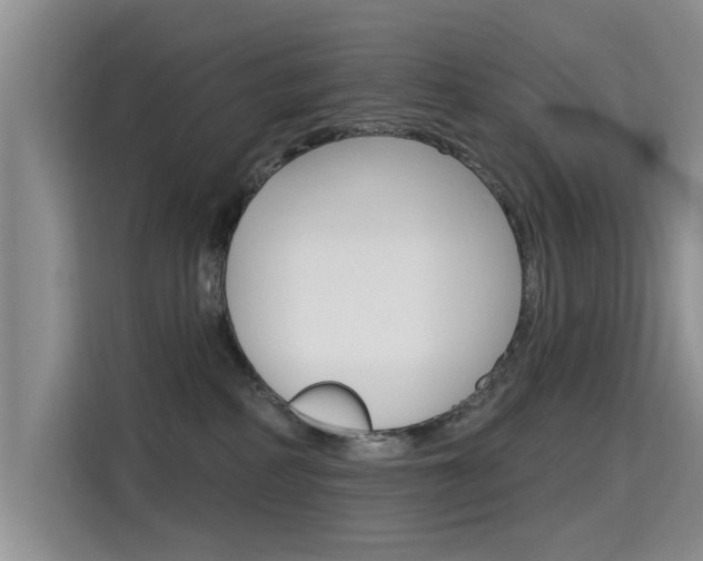X0000115610234200911100938
