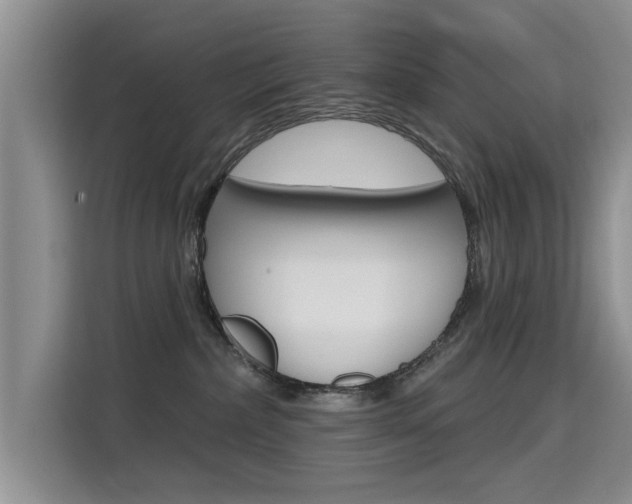 X0000115610236200911100938