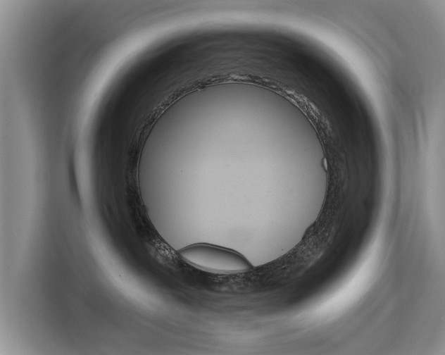 X0000115610239200911100938