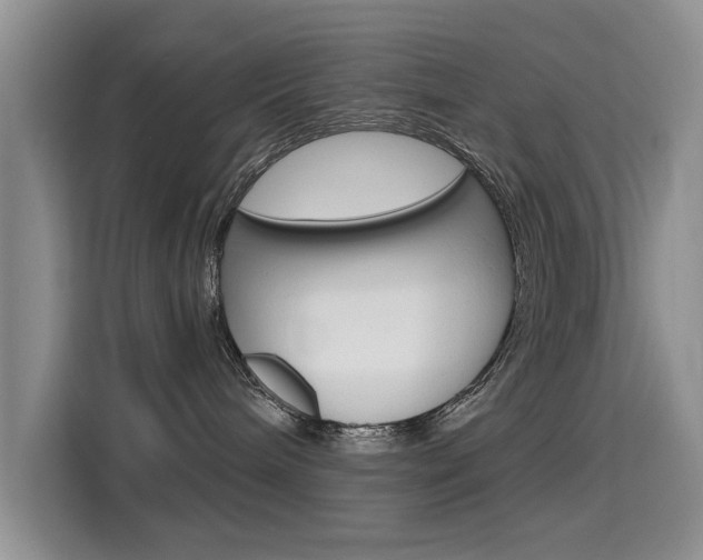 X0000115610240200911100938