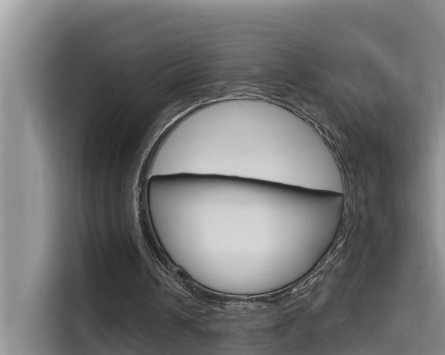 X0000115610242200911100937