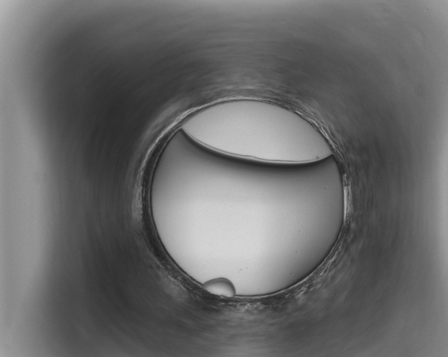 X0000115610243200911100937