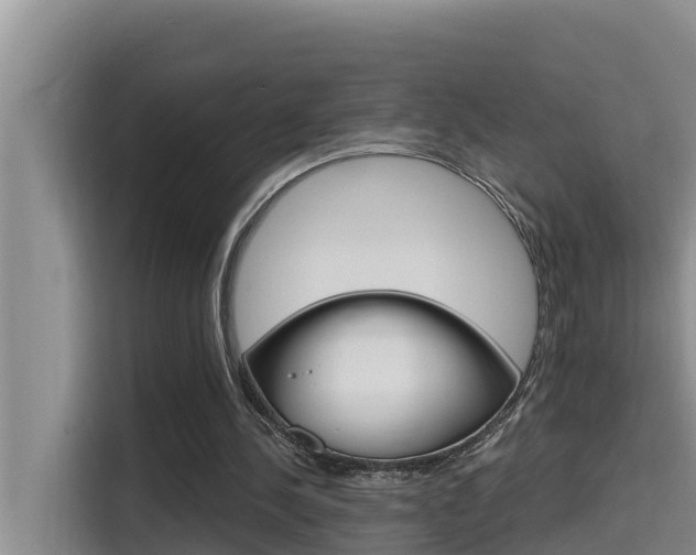 X0000115610244200911100937