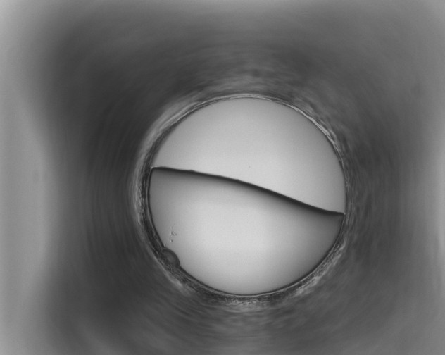 X0000115610245200911100937