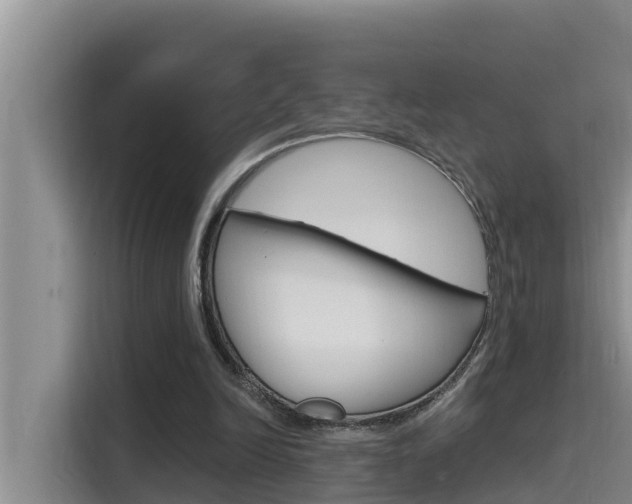 X0000115610246200911100937