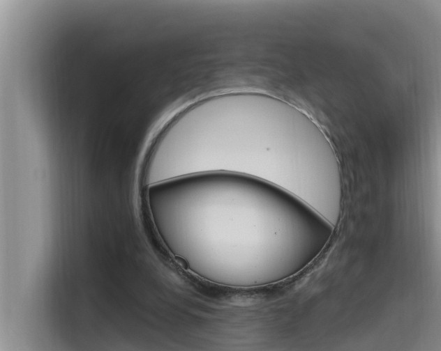 X0000115610248200911100937