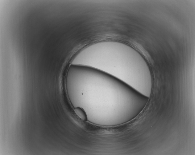 X0000115610250200911100937