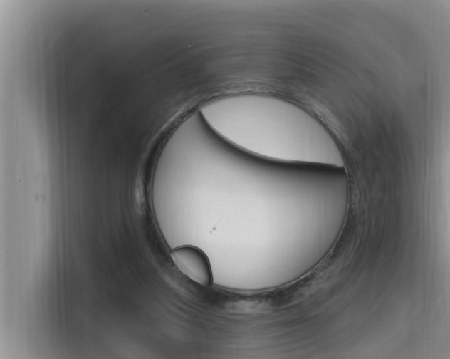 X0000115610251200911100937
