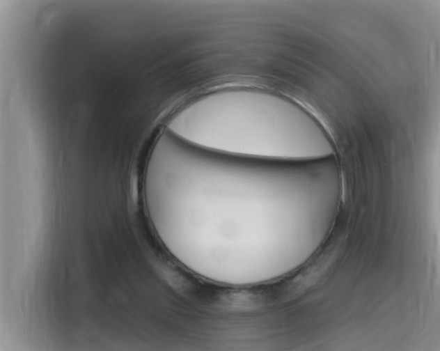 X0000115610253200911100937
