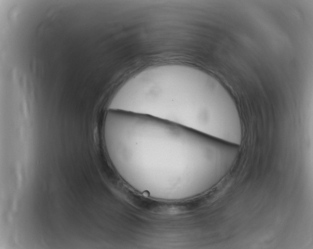 X0000115610254200911100937