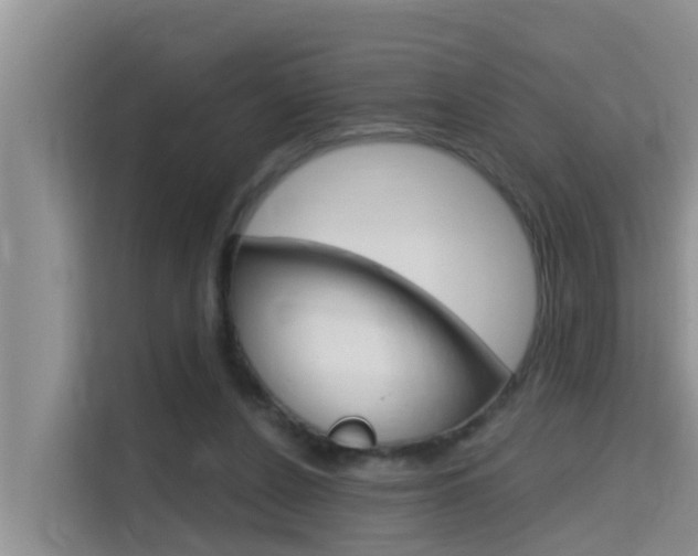 X0000115610256200911100937