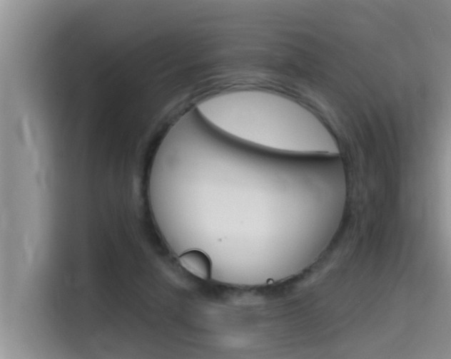 X0000115610258200911100937