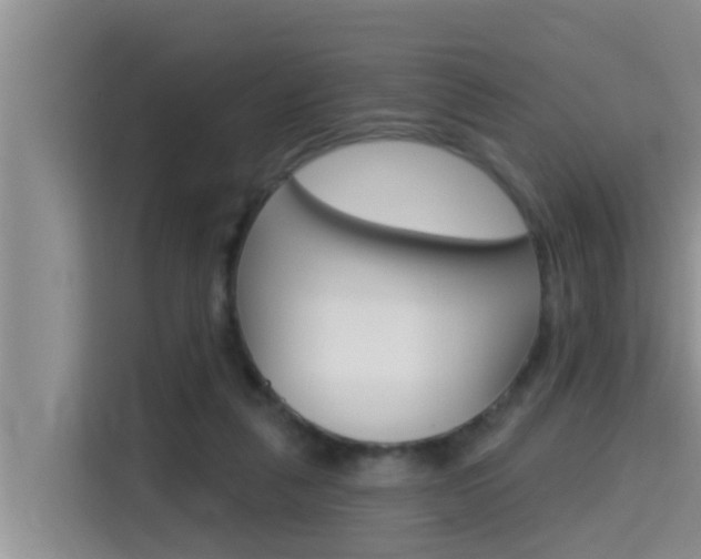 X0000115610259200911100937