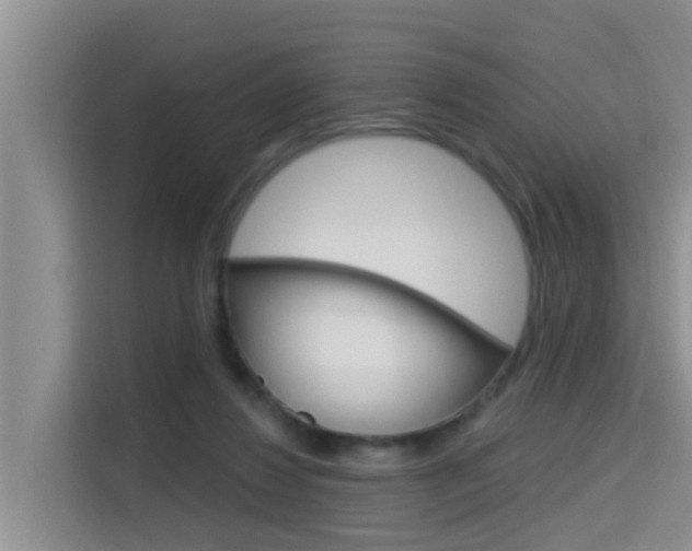 X0000115610260200911100937
