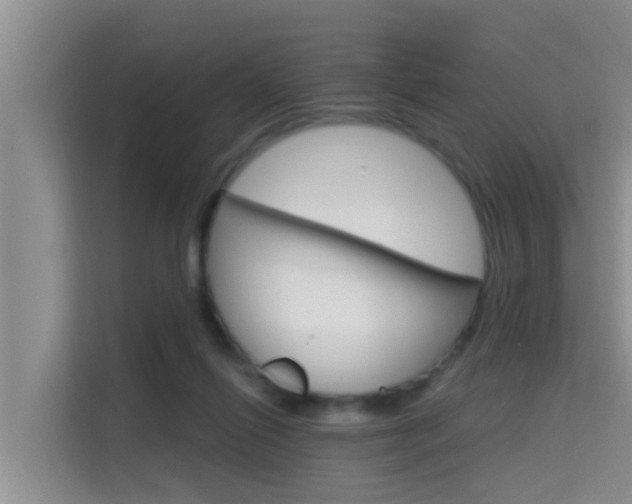 X0000115610262200911100937