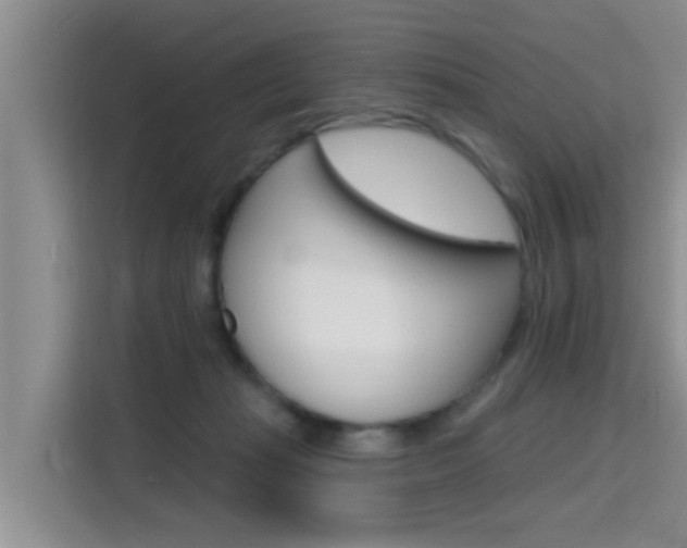 X0000115610269200911100937