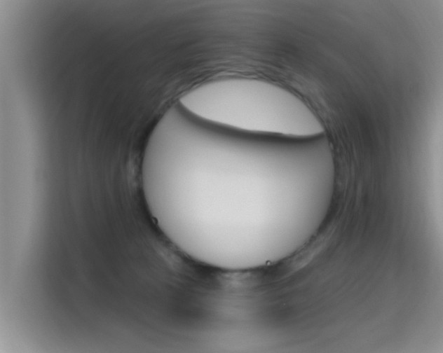 X0000115610273200911100938