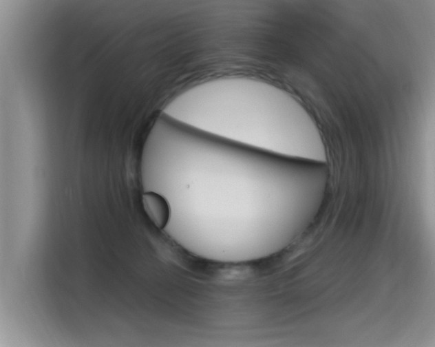 X0000115610274200911100938