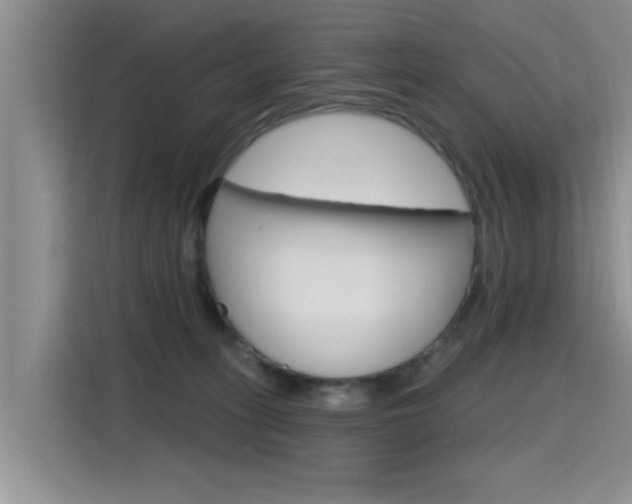 X0000115610275200911100938