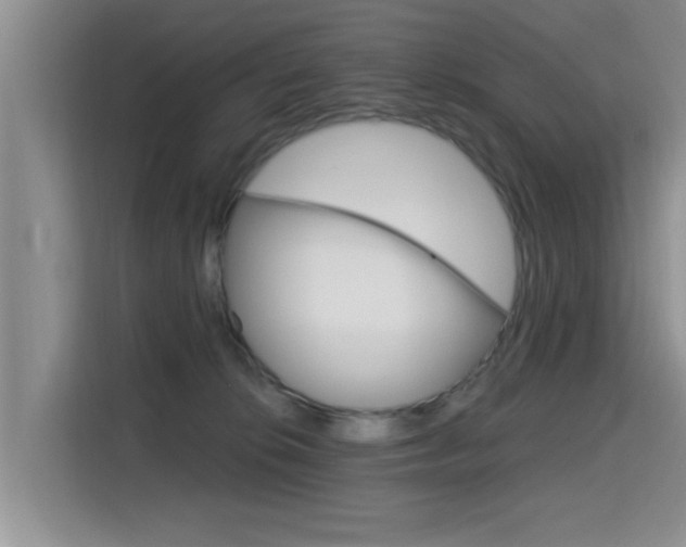 X0000115610276200911100938