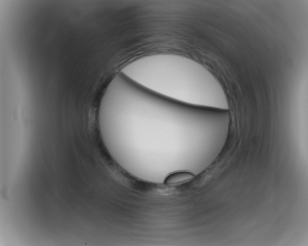 X0000115610278200911100938