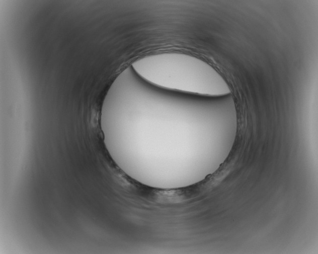 X0000115610281200911100938