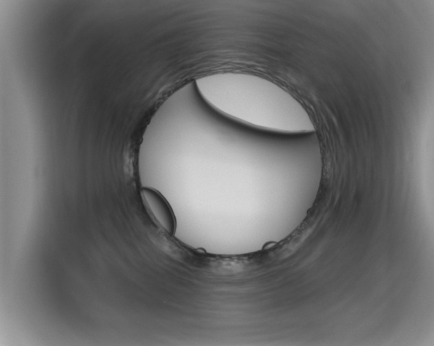 X0000115610282200911100938