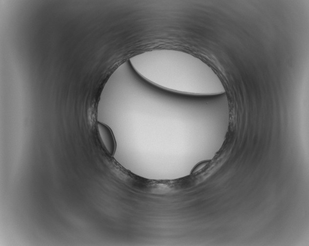 X0000115610285200911100938