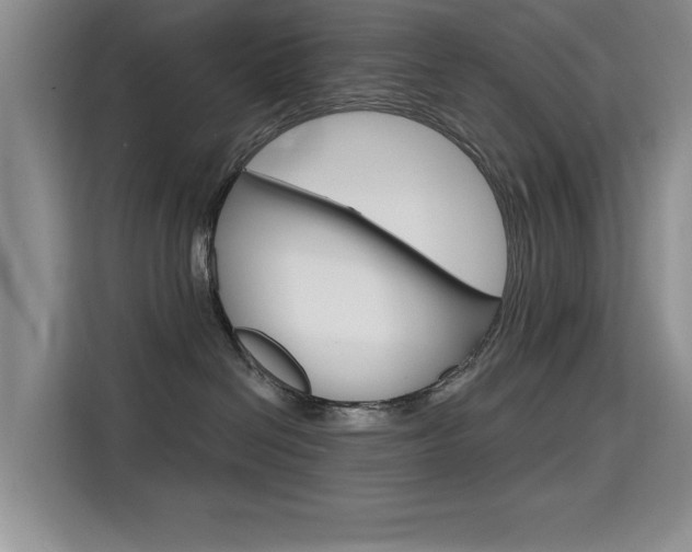 X0000115610286200911100938