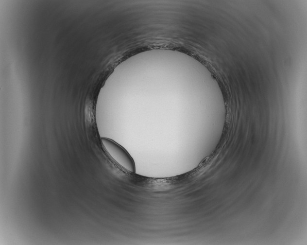 X0000115610287200911100938