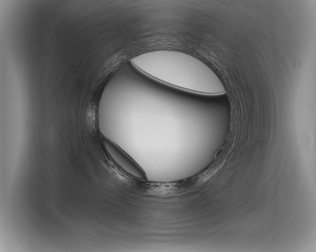 X0000115610288200911100938