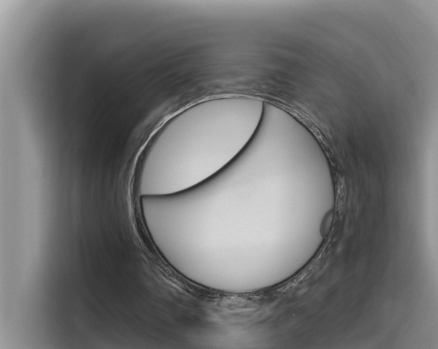 X0000115610290200911100937