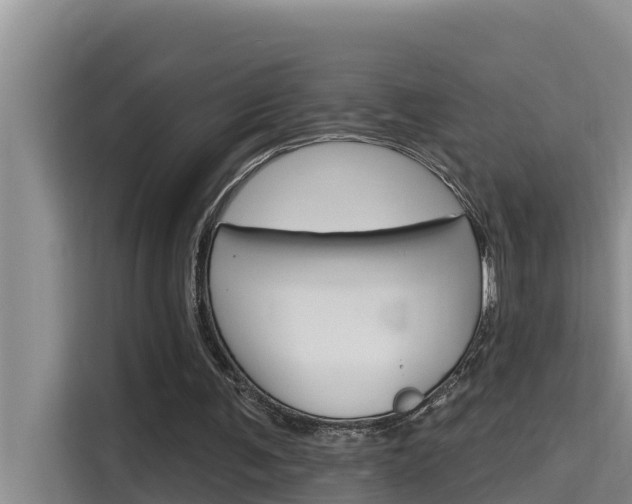 X0000115610291200911100937