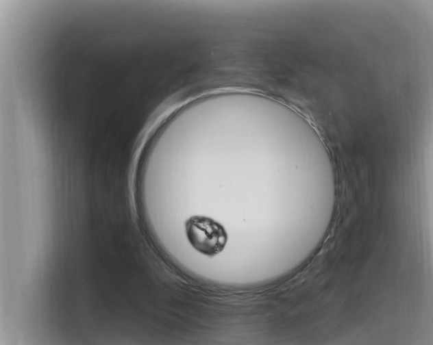 X0000115610296200911100937