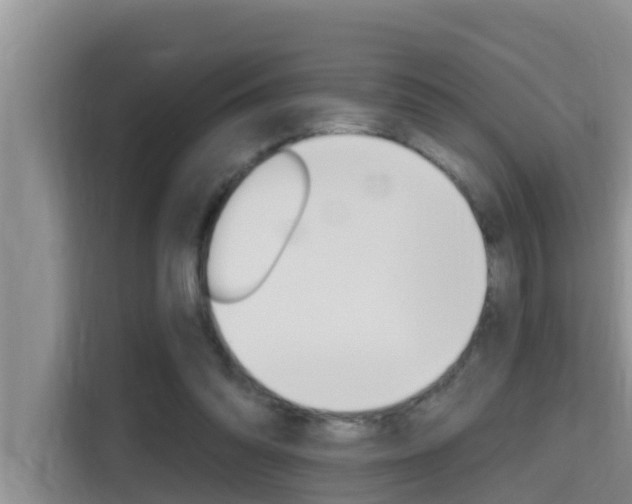 X0000115610302200911100937