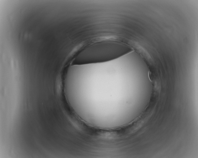 X0000115610304200911100937